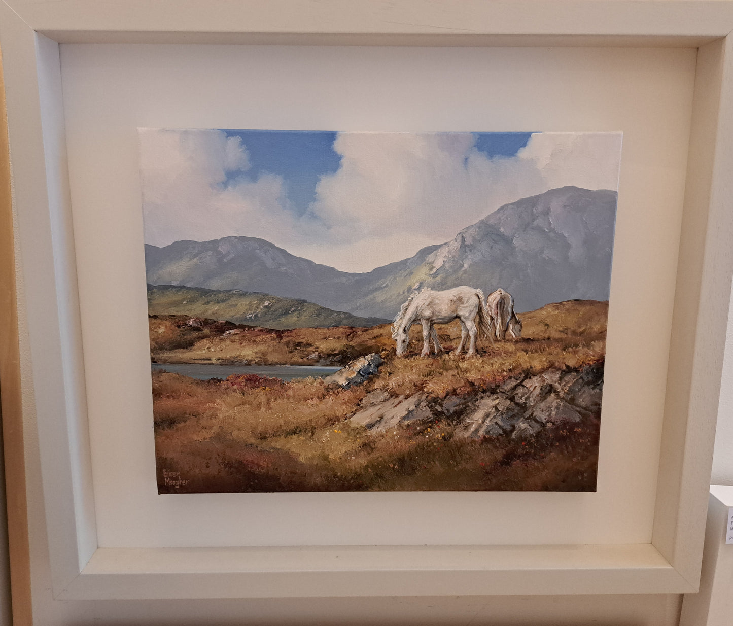 "Roundstone Bog, Connemara" by Eileen Meagher