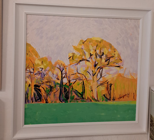 Evening light in Desart