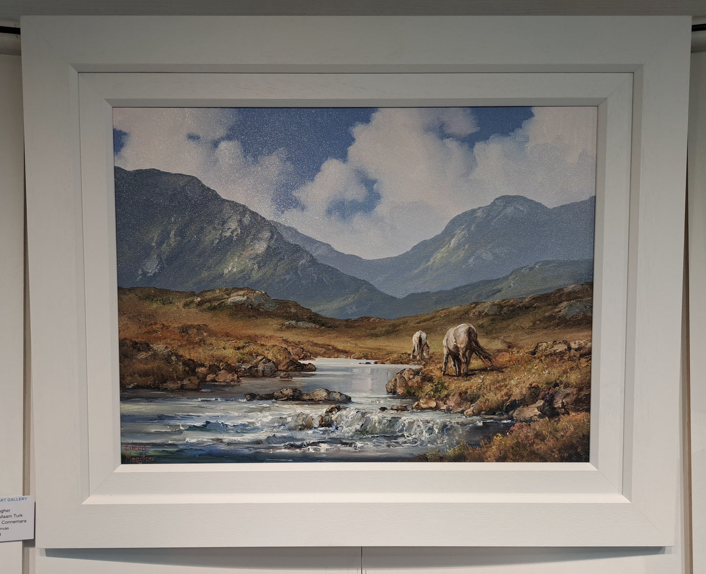 Ponies in Maam Turk mountains , Connemara