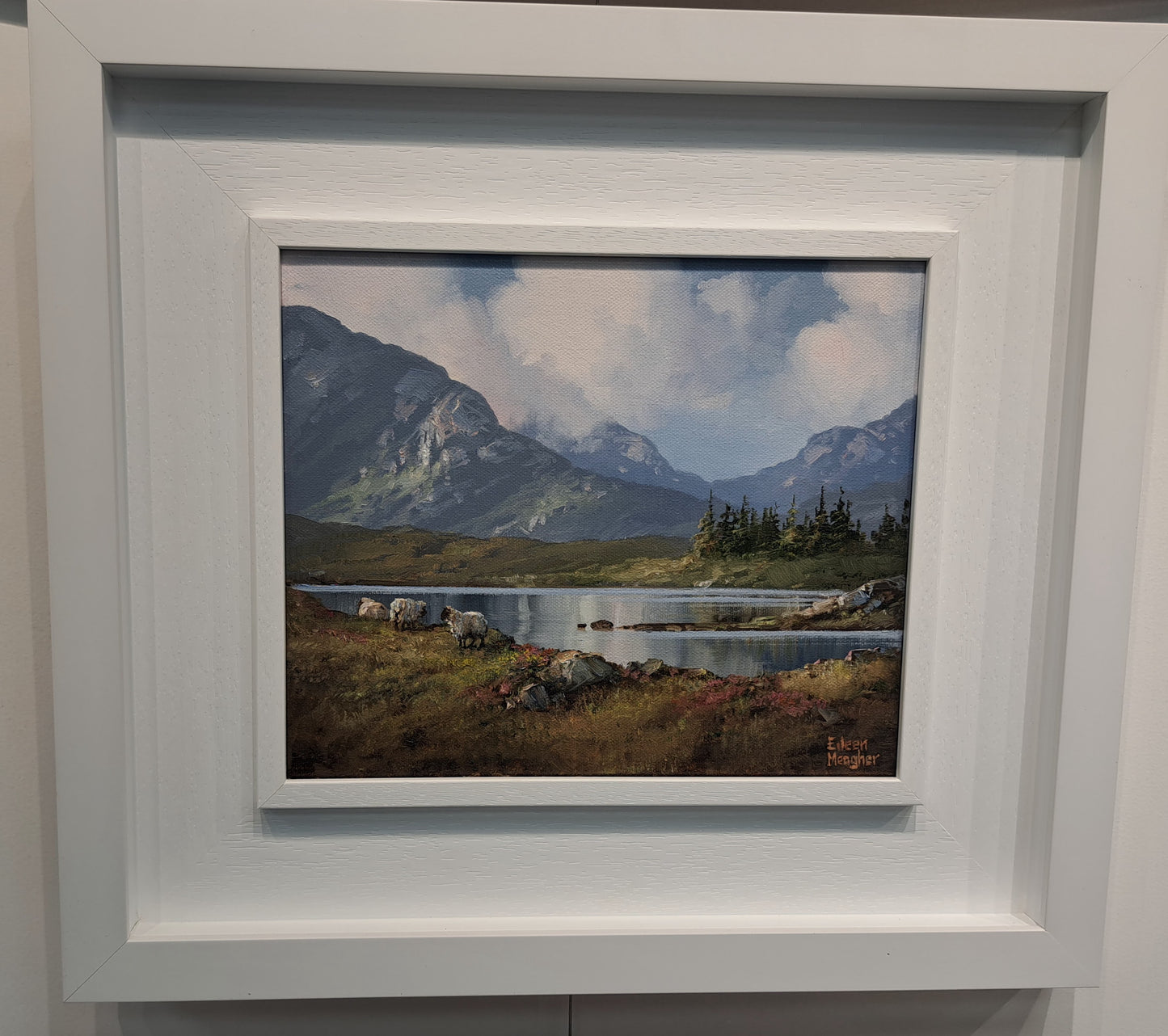 Roundstone Bog, Connemara