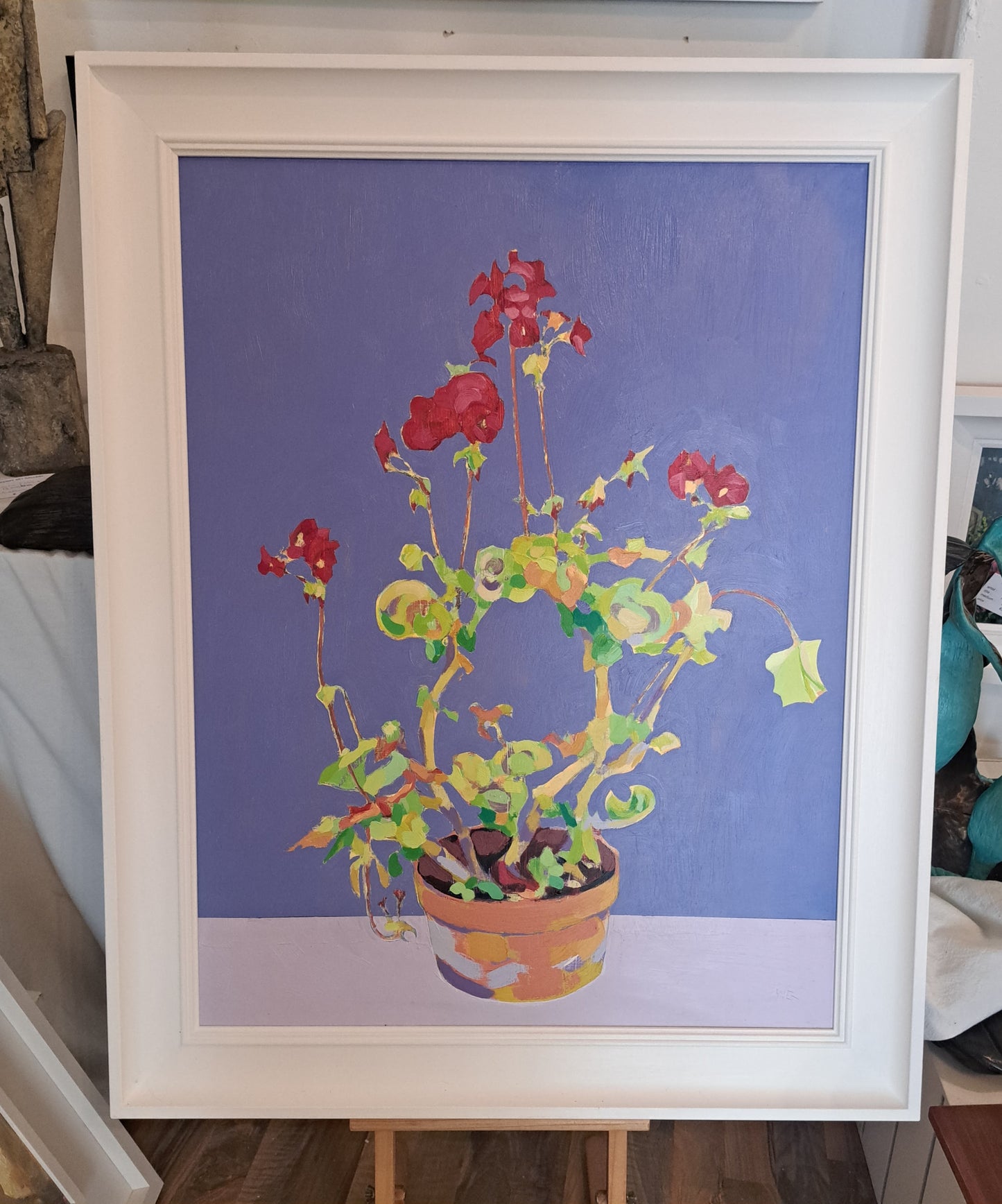 Geranium in terracotta pot