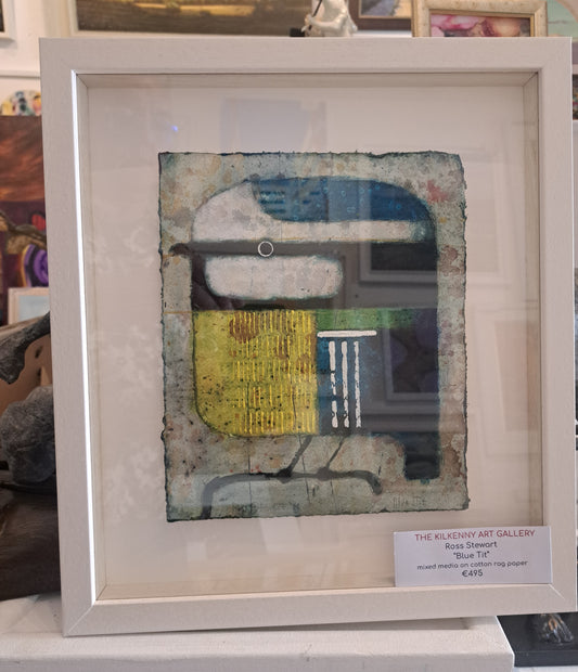Blue Tit
