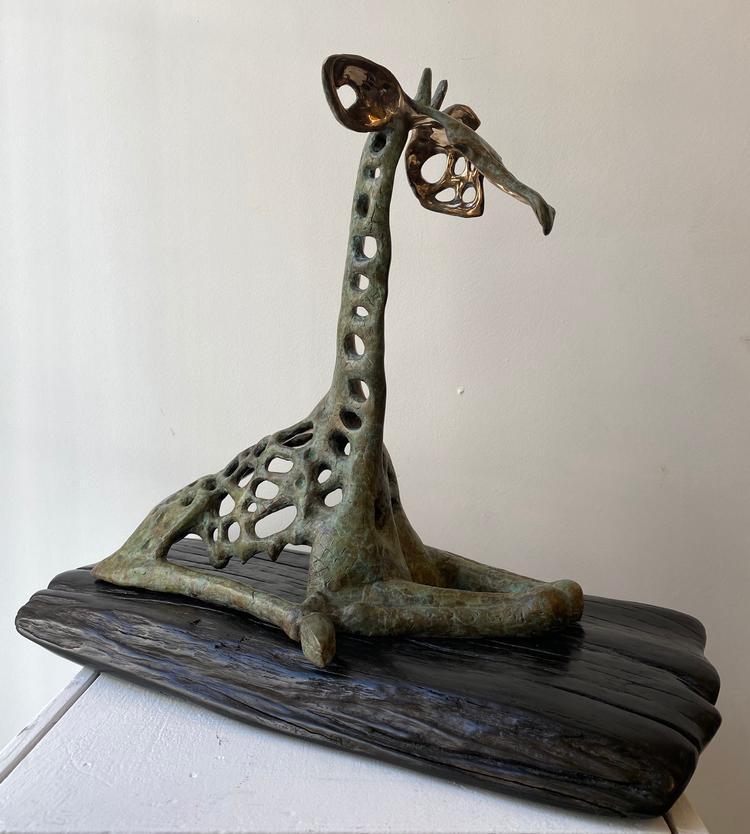 Aspirations (baby giraffe)