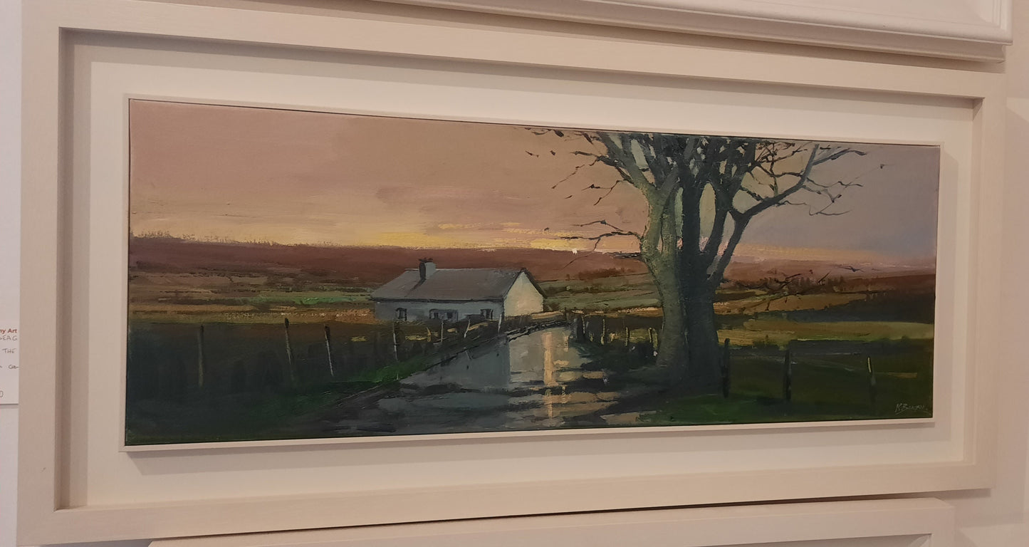 Last of the evening light