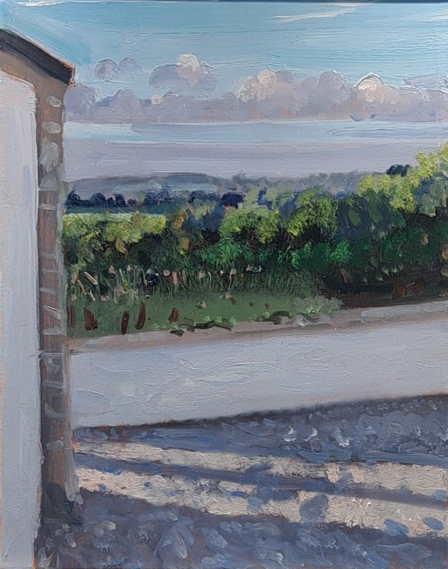 The yard at sunset 1