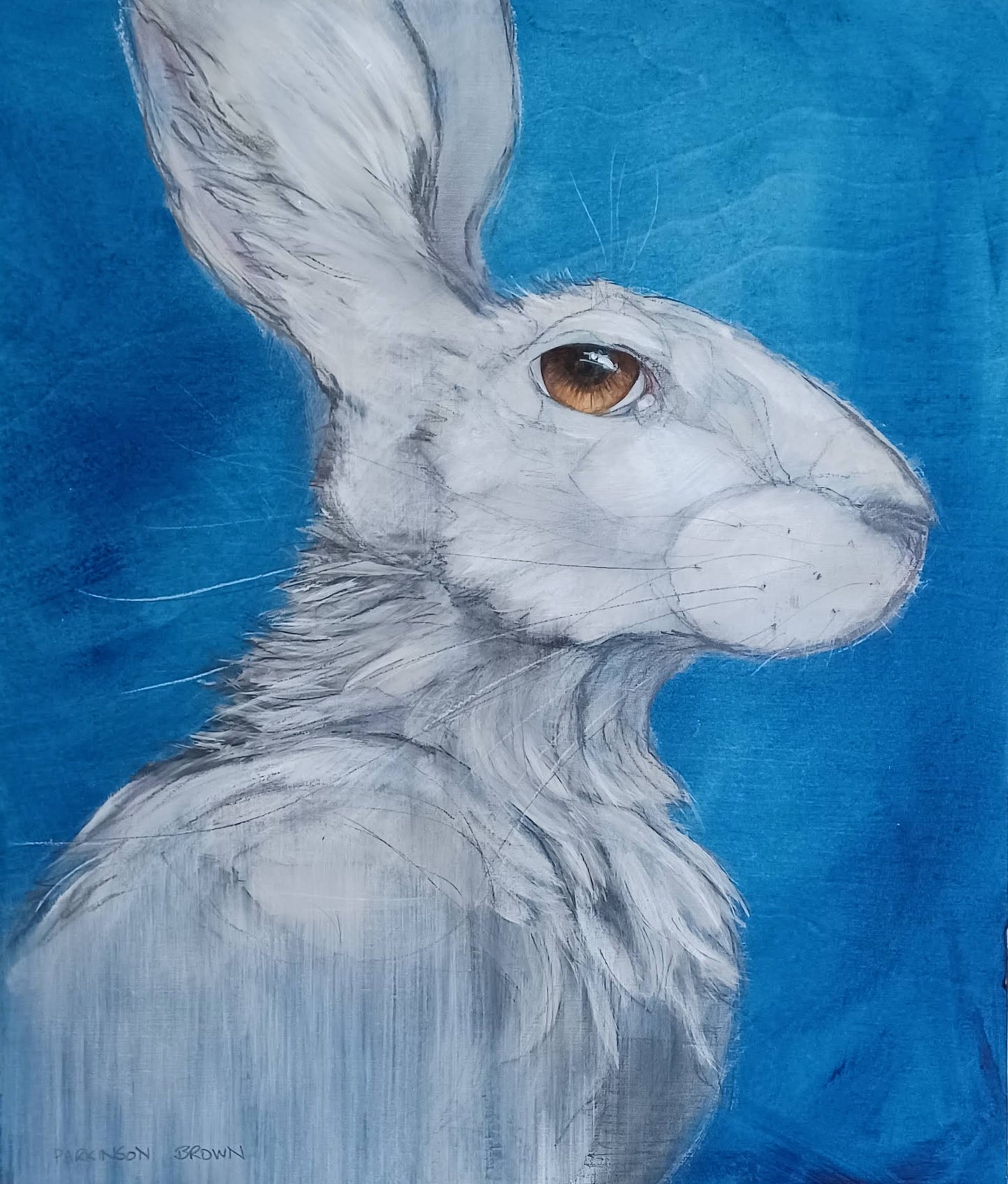 Winter Hare