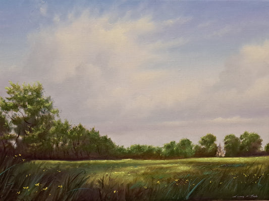 Derryvale, Co.Fermanagh   by Laurence O'Toole