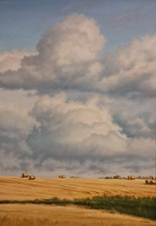 "Kilkenny Fields"  by Laurence O'Toole