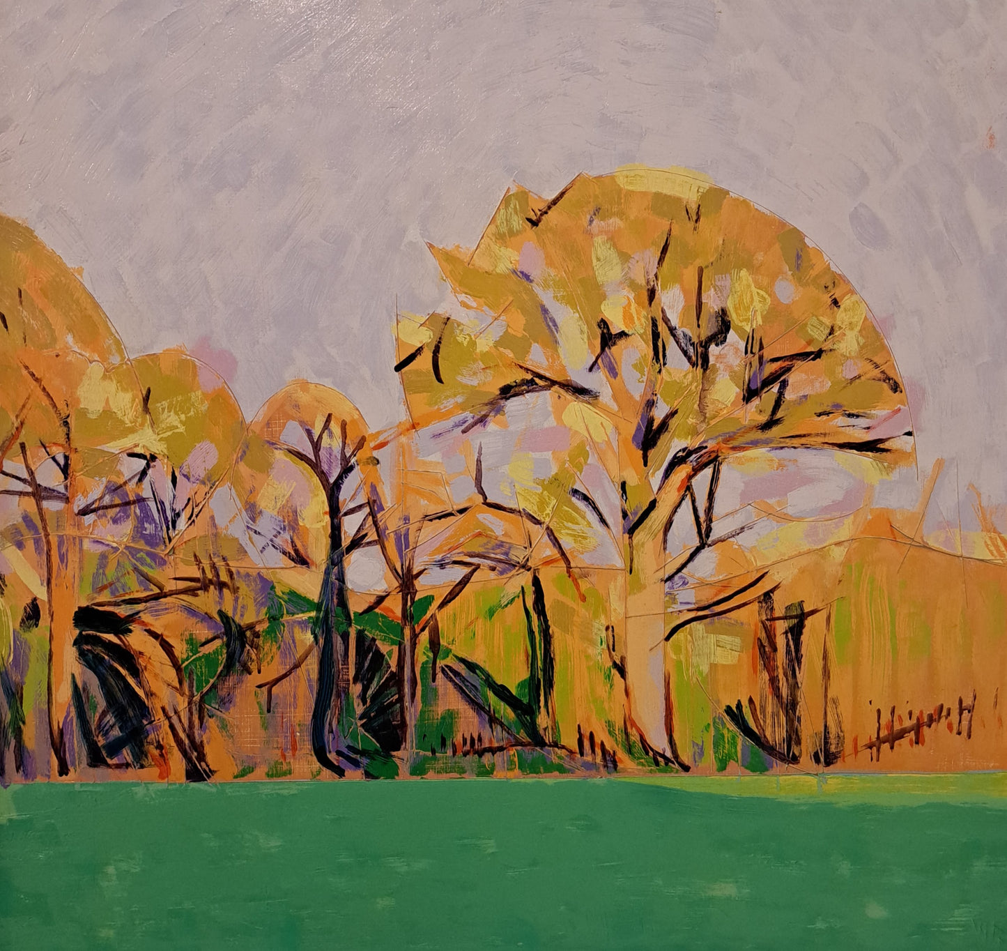 Evening light in Desart