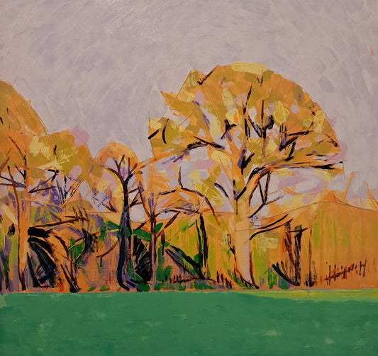 Evening light in Desart