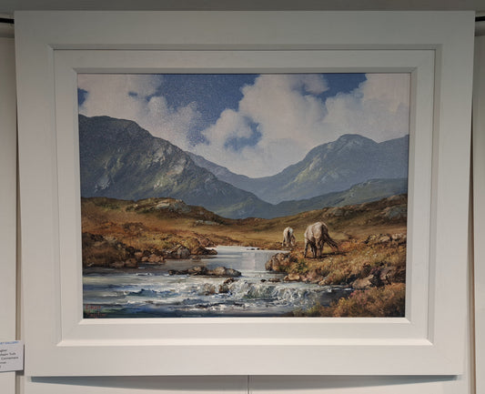 Ponies in Maam Turk mountains , Connemara