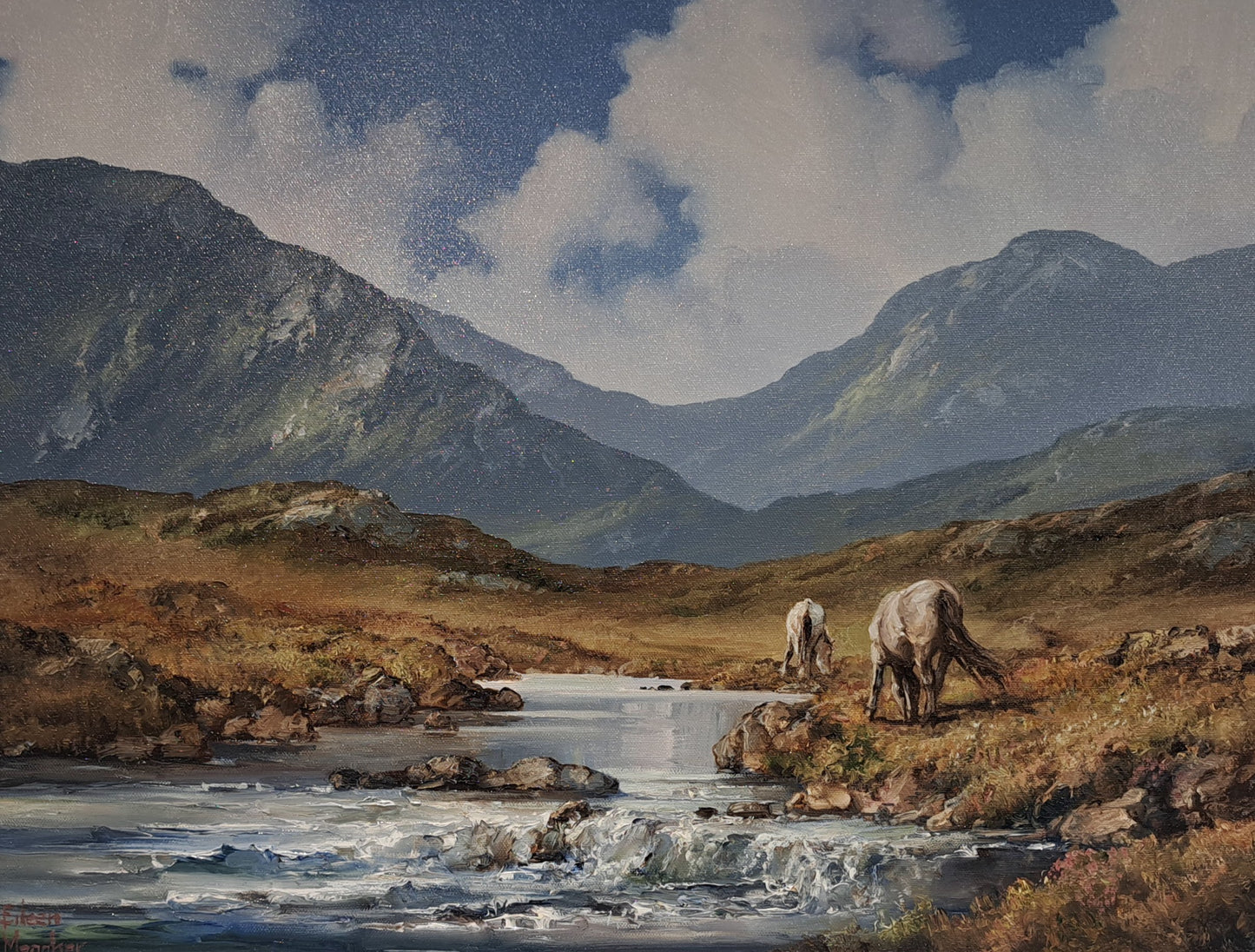 Ponies in Maam Turk mountains , Connemara