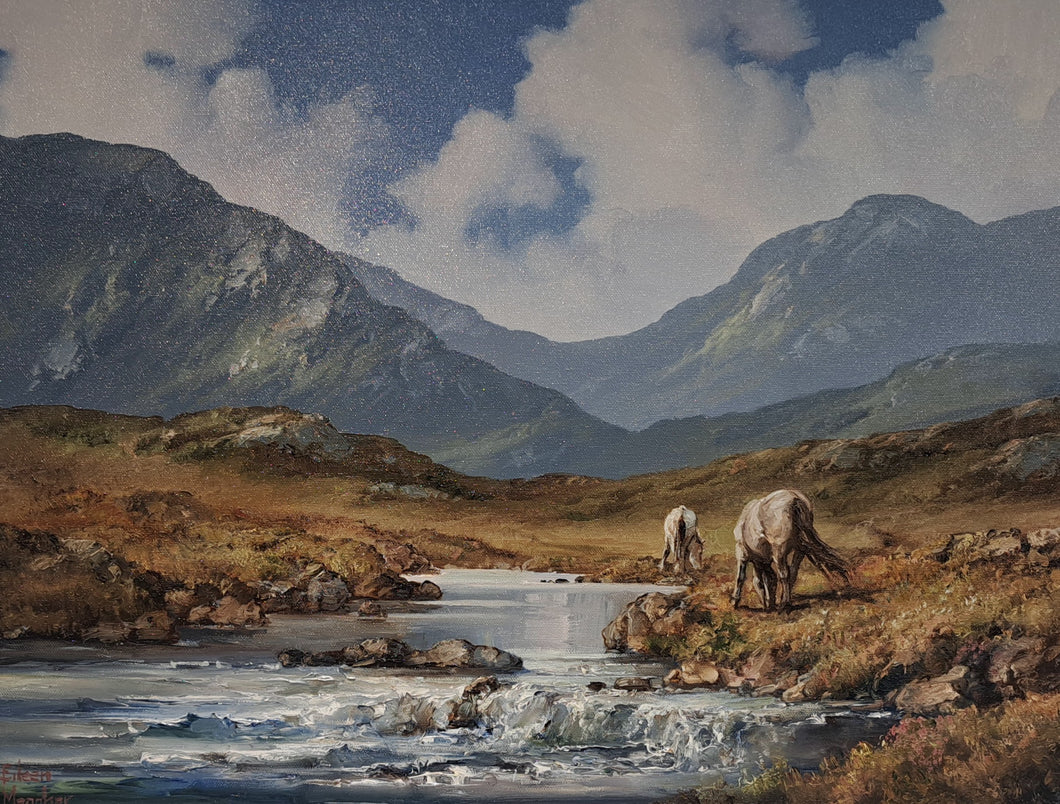 Ponies in Maam Turk mountains , Connemara