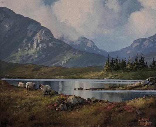 Roundstone Bog, Connemara