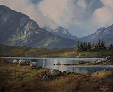 Load image into Gallery viewer, Roundstone Bog, Connemara
