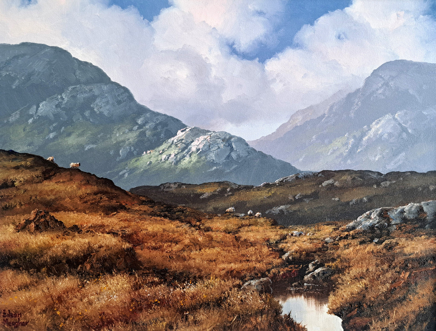 Soft Day , Roundstone