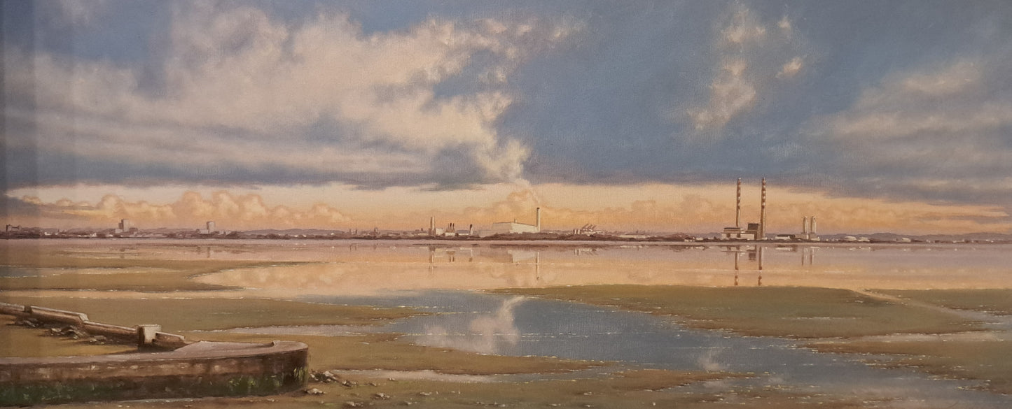 The Pigeon House from Blackrock