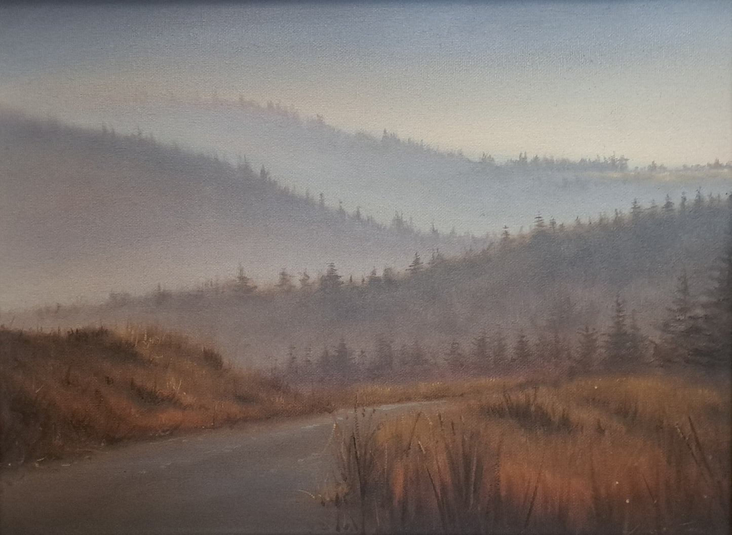 Autumn morning in the Wicklow Mountains