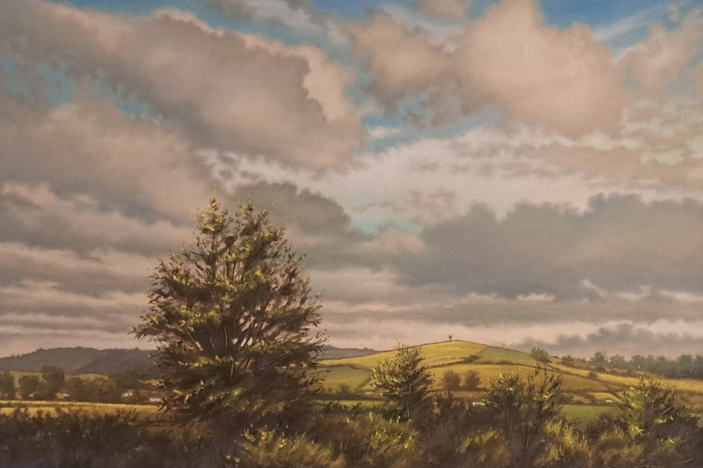 Freestone Hill