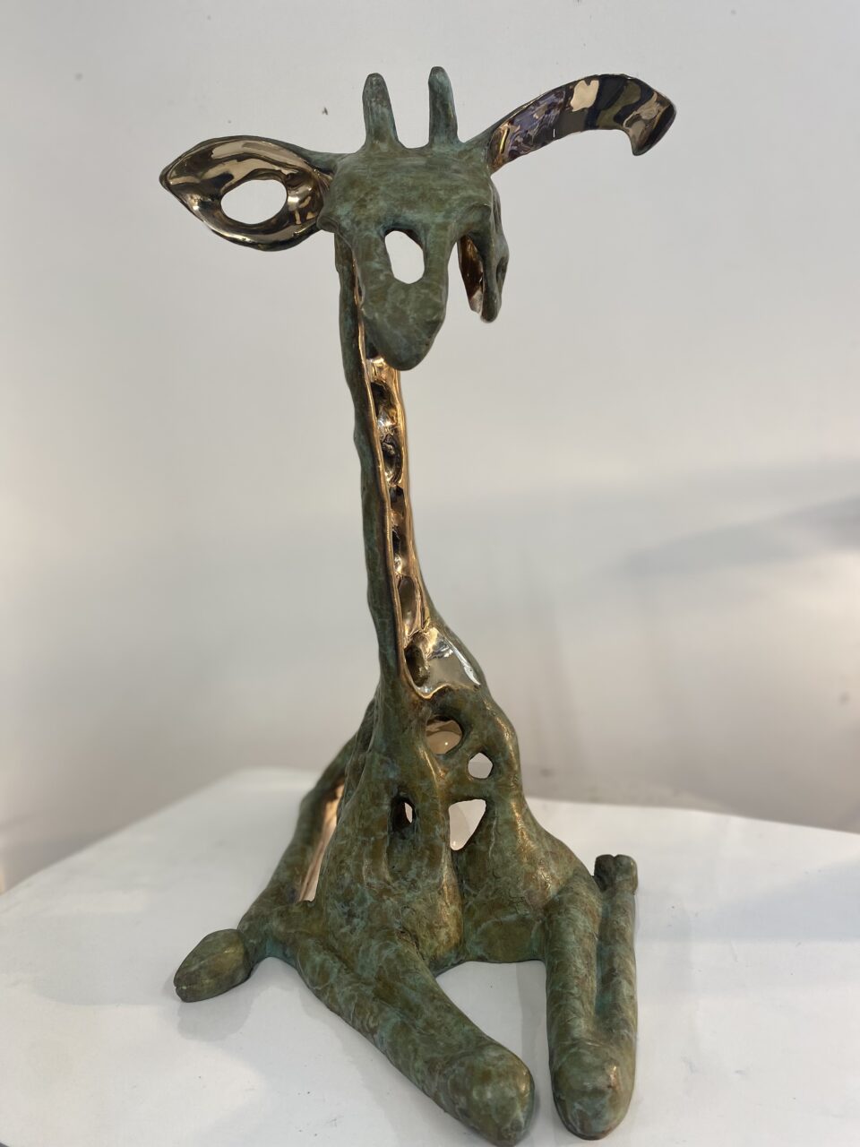 Aspirations (baby giraffe)