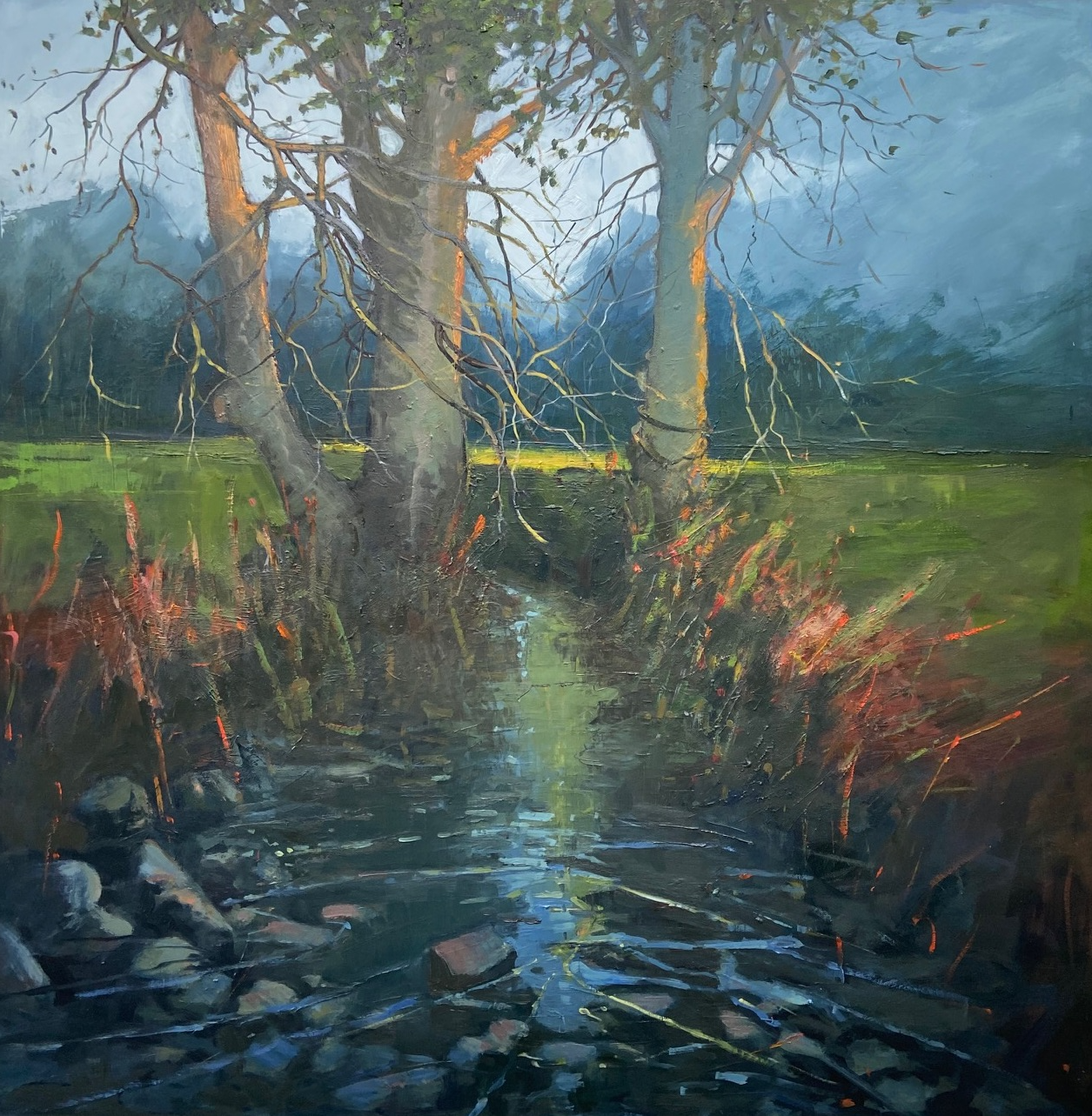 "Morning Light" by Kate Beagan