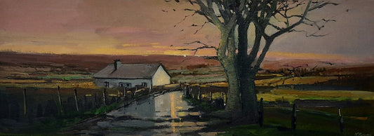 Last of the evening light