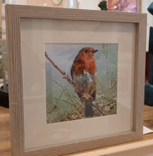 Load image into Gallery viewer, Robin , framed print
