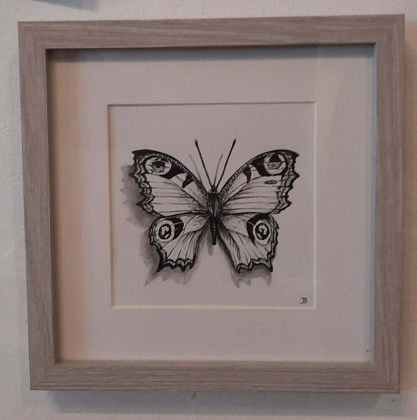 Butterfly original drawing