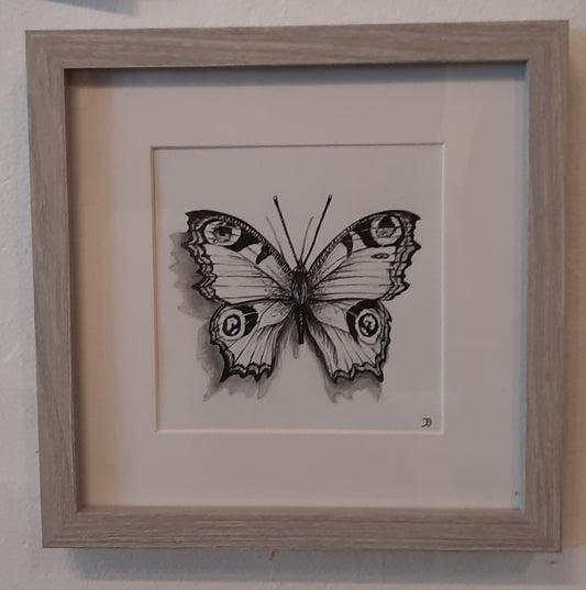Butterfly original drawing