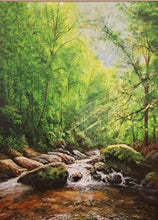 Load image into Gallery viewer, &quot;Forest Stream, Glenshelane&quot;  by Noel O&#39;Donoghue
