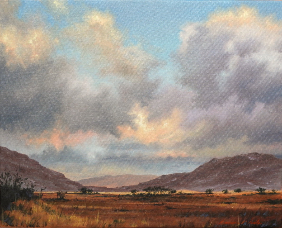 On the road to clifden