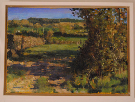 "Down in Eamon's field""  by Blaise Smith