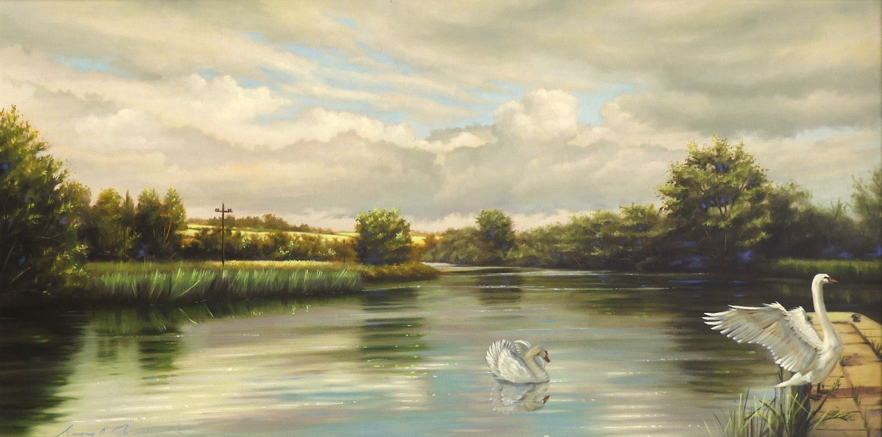Swans, Goresbridge