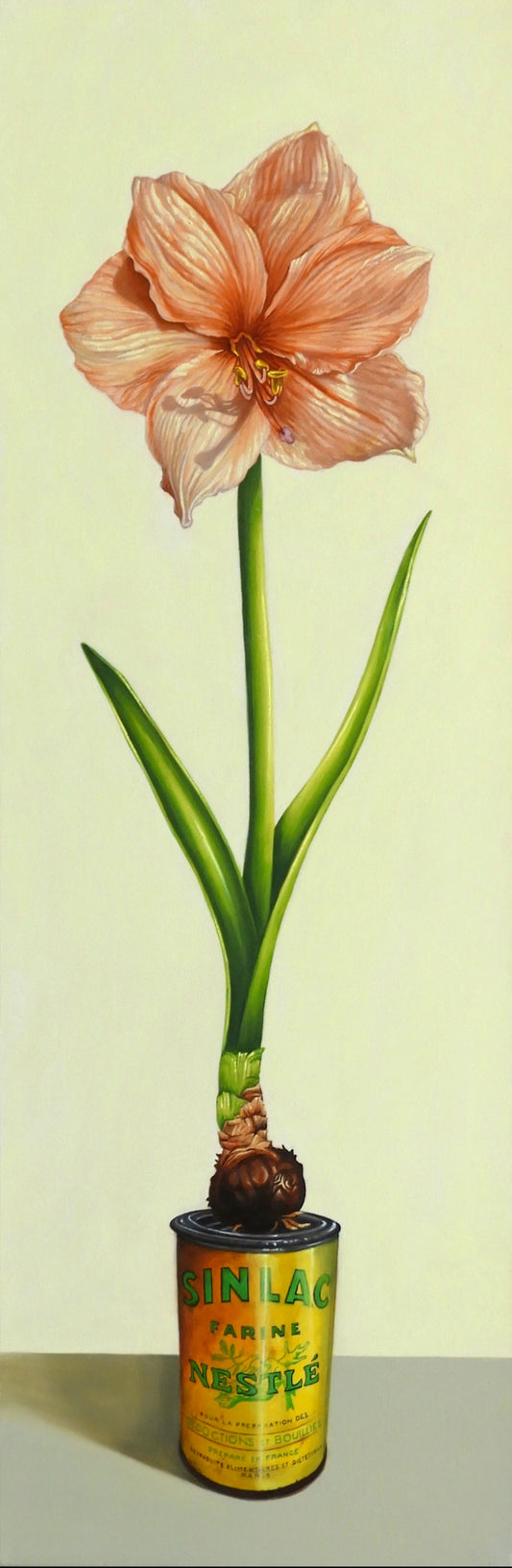 "Nestle, Sinlac" by Jade Butler