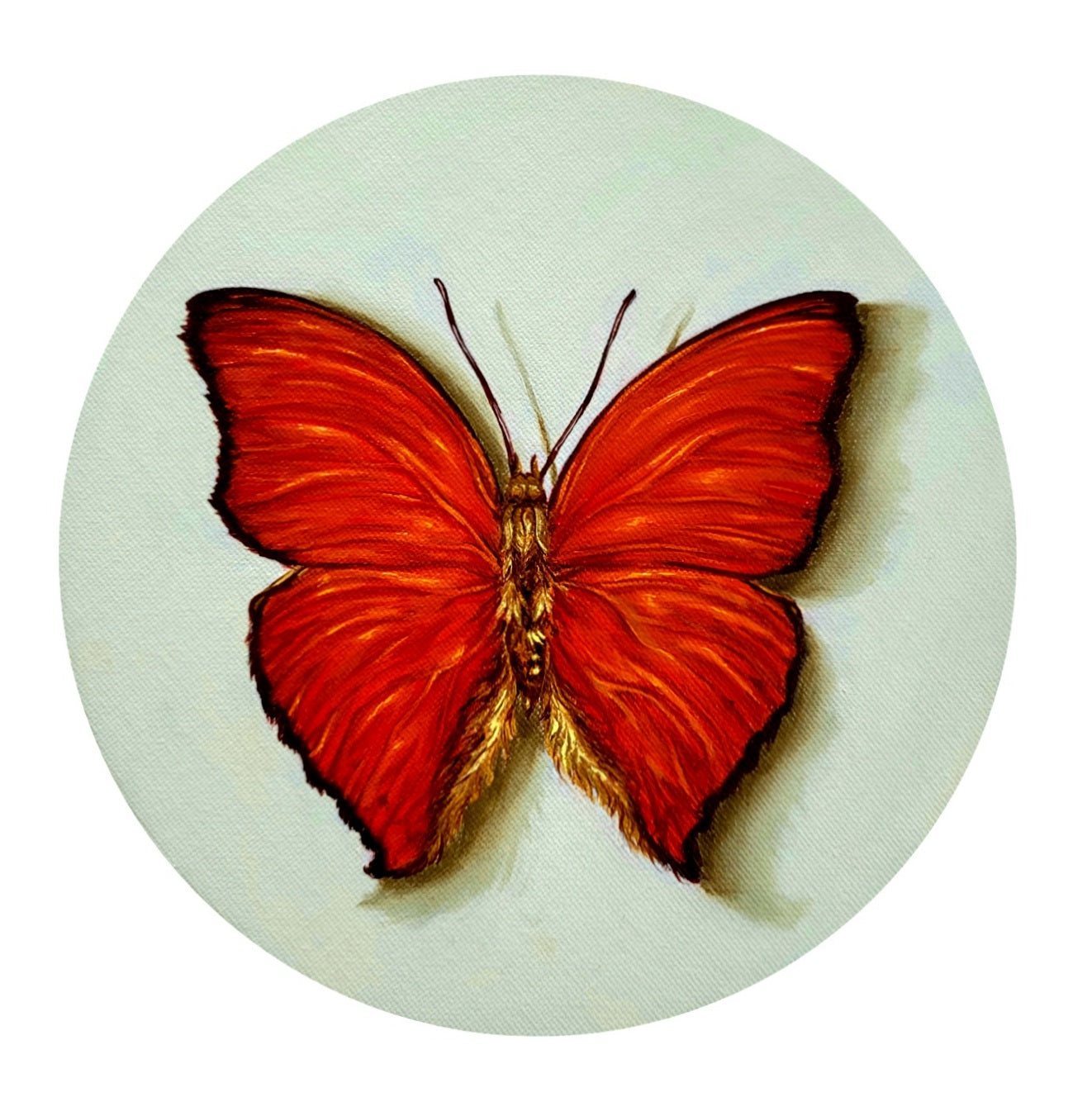 "Red Glider"