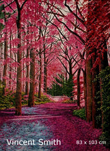 Load image into Gallery viewer, &quot;Magenta Path&quot; by Vincent Smith
