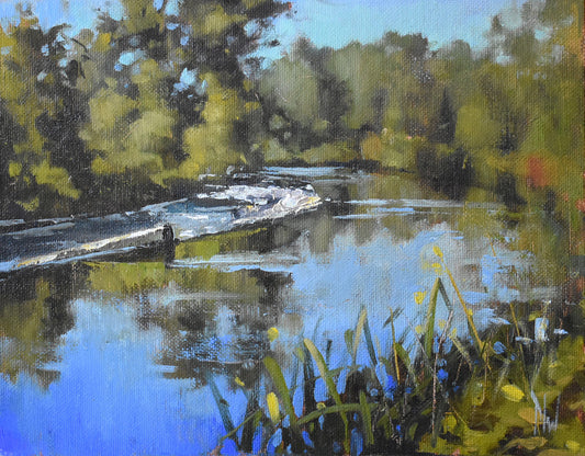 "The Weir , Clashganny" by Dave West