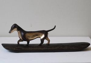 Dachshund
